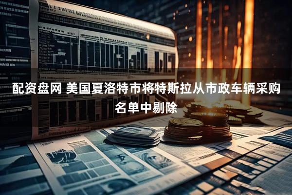 配资盘网 美国夏洛特市将特斯拉从市政车辆采购名单中剔除
